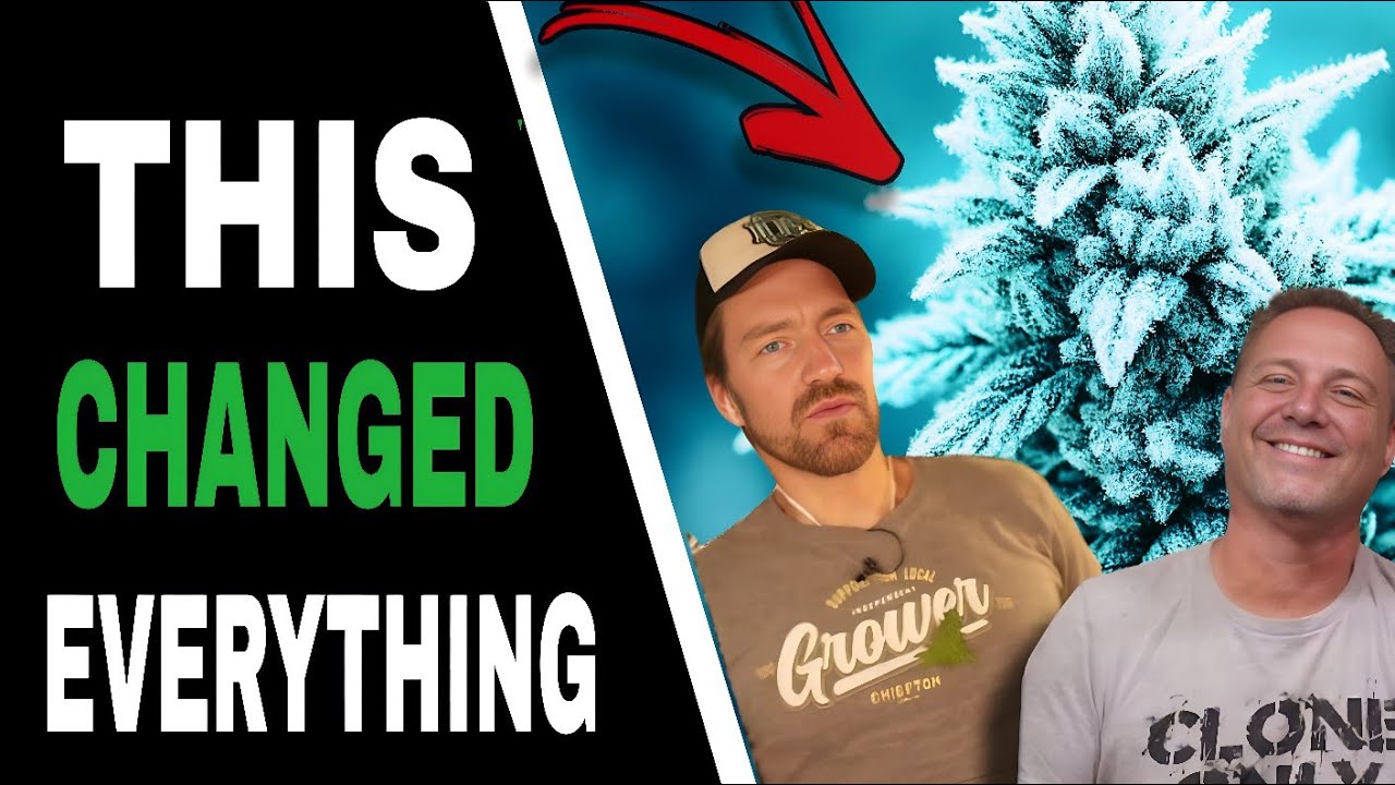 THESE 3 Factors Control Your Yield AND Your Frost