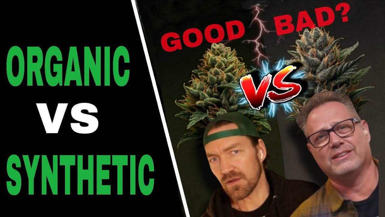 Cannabis Nutrient Showdown: Organics vs. Synthetics