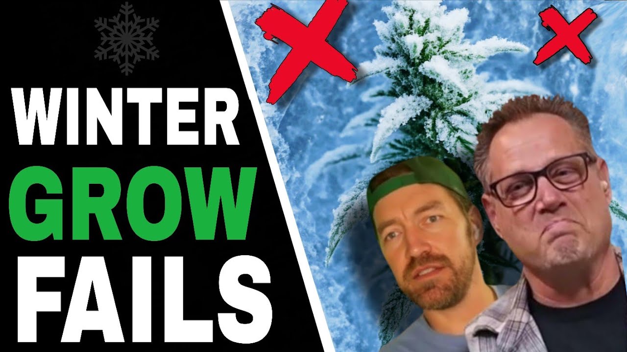 Don’t Let Winter Temps Destroy Your Cannabis Grow